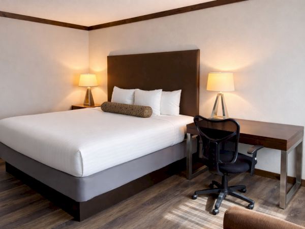 A neatly made hotel room with a queen bed, two bedside lamps, a desk, and a swivel chair.