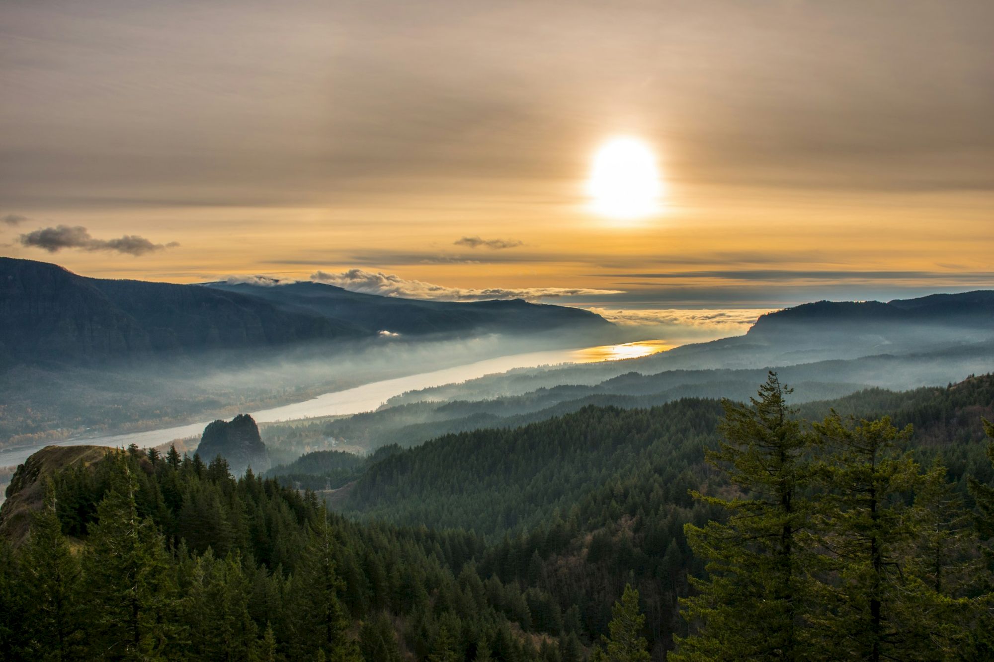 A sunrise over misty mountains and a winding river valley, with evergreen forests glowing in golden light.