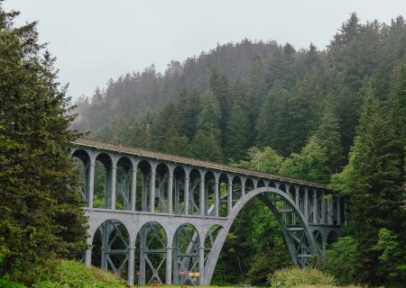 A tall concrete viaduct bridge with arched spans runs through a misty, pine-filled mountain forest.